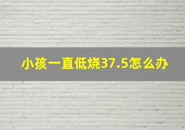 小孩一直低烧37.5怎么办