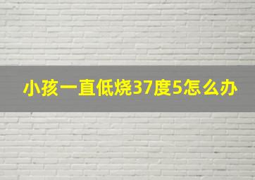 小孩一直低烧37度5怎么办