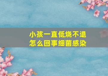 小孩一直低烧不退怎么回事细菌感染