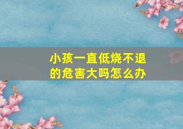 小孩一直低烧不退的危害大吗怎么办