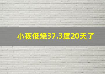 小孩低烧37.3度20天了