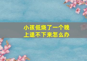 小孩低烧了一个晚上退不下来怎么办