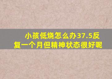 小孩低烧怎么办37.5反复一个月但精神状态很好呢