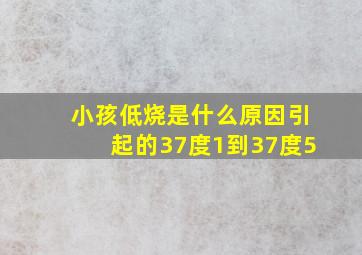 小孩低烧是什么原因引起的37度1到37度5