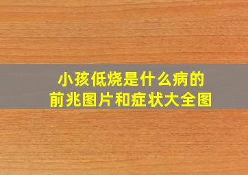 小孩低烧是什么病的前兆图片和症状大全图