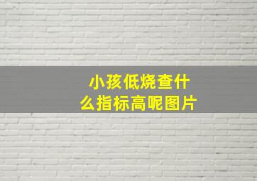 小孩低烧查什么指标高呢图片