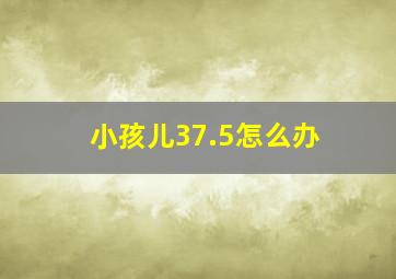 小孩儿37.5怎么办