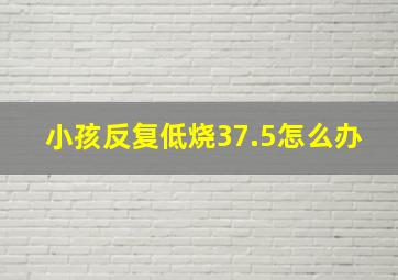 小孩反复低烧37.5怎么办