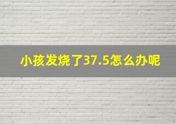 小孩发烧了37.5怎么办呢