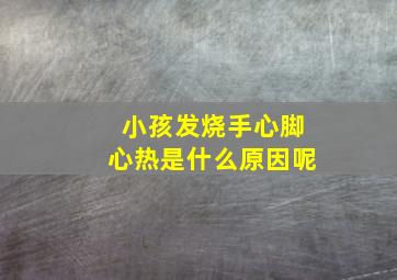 小孩发烧手心脚心热是什么原因呢