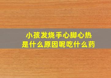 小孩发烧手心脚心热是什么原因呢吃什么药