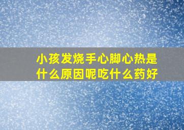 小孩发烧手心脚心热是什么原因呢吃什么药好