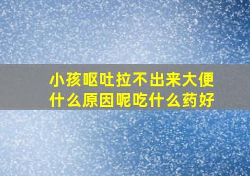 小孩呕吐拉不出来大便什么原因呢吃什么药好