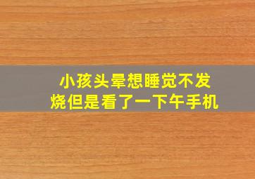 小孩头晕想睡觉不发烧但是看了一下午手机