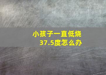 小孩子一直低烧37.5度怎么办