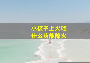 小孩子上火吃什么药能降火