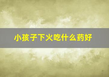 小孩子下火吃什么药好