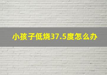 小孩子低烧37.5度怎么办