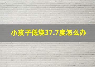 小孩子低烧37.7度怎么办