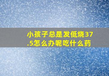 小孩子总是发低烧37.5怎么办呢吃什么药