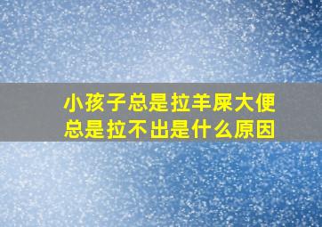 小孩子总是拉羊屎大便总是拉不出是什么原因