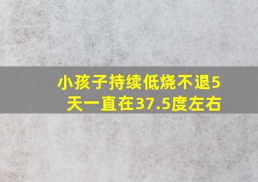 小孩子持续低烧不退5天一直在37.5度左右