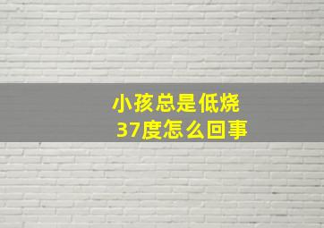 小孩总是低烧37度怎么回事