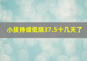 小孩持续低烧37.5十几天了