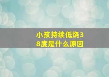 小孩持续低烧38度是什么原因