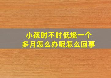 小孩时不时低烧一个多月怎么办呢怎么回事