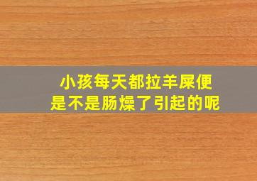 小孩每天都拉羊屎便是不是肠燥了引起的呢