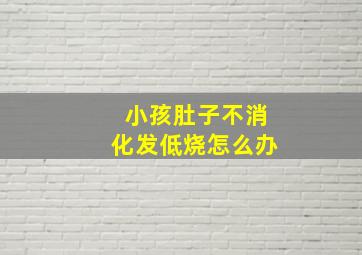 小孩肚子不消化发低烧怎么办