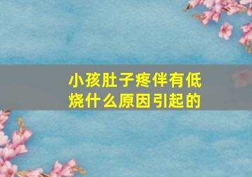 小孩肚子疼伴有低烧什么原因引起的