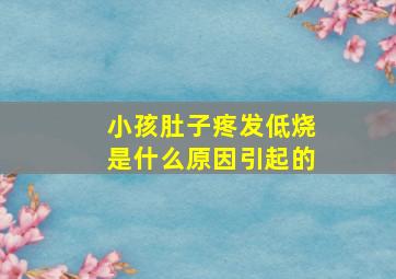 小孩肚子疼发低烧是什么原因引起的