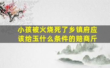 小孩被火烧死了乡镇府应该给玉什么条件的赔商斤