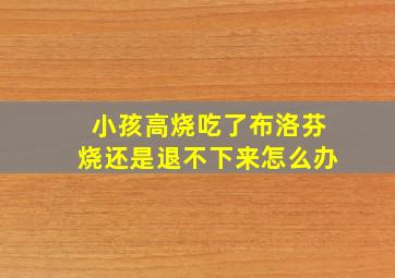 小孩高烧吃了布洛芬烧还是退不下来怎么办