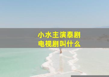 小水主演泰剧电视剧叫什么