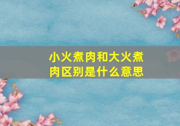 小火煮肉和大火煮肉区别是什么意思