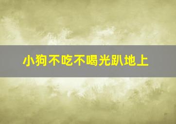 小狗不吃不喝光趴地上