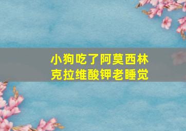 小狗吃了阿莫西林克拉维酸钾老睡觉