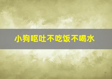 小狗呕吐不吃饭不喝水