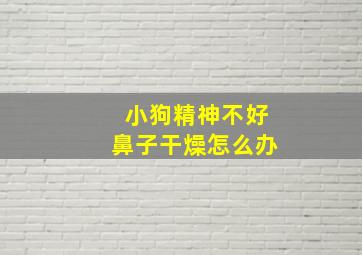 小狗精神不好鼻子干燥怎么办