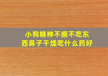 小狗精神不振不吃东西鼻子干燥吃什么药好