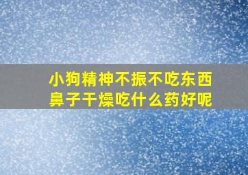 小狗精神不振不吃东西鼻子干燥吃什么药好呢