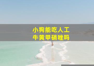 小狗能吃人工牛黄甲硝唑吗