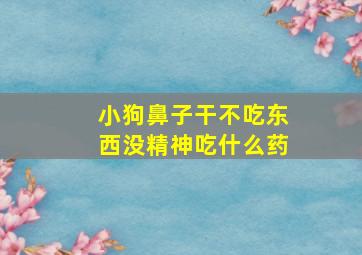 小狗鼻子干不吃东西没精神吃什么药