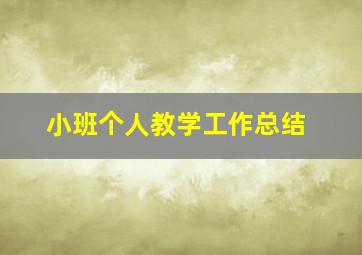 小班个人教学工作总结