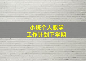 小班个人教学工作计划下学期