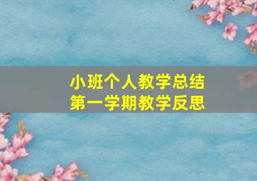 小班个人教学总结第一学期教学反思