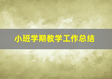 小班学期教学工作总结